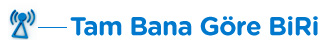 Tam Bana G�re BiRi