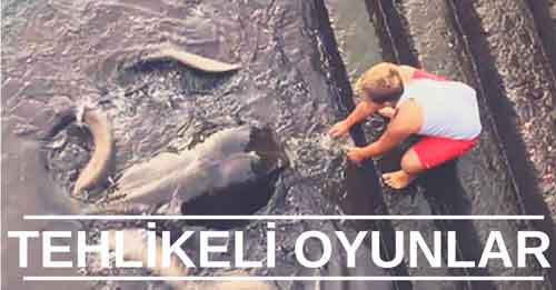 Tehlikeli Oyunlar!