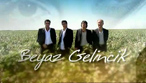 Beyaz Gelincik